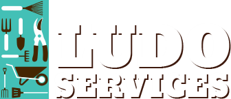 Ludo Services